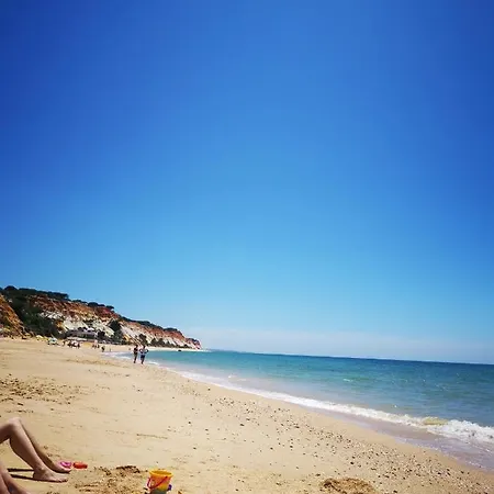 Bed & Breakfast Mira Parque